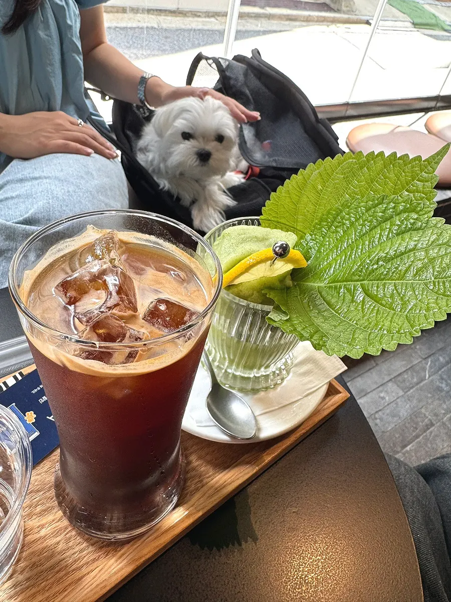 Ordered drinks on a café table