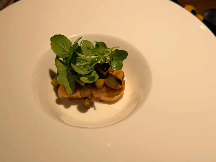 Salmon steak special dish topped with grilled mushrooms