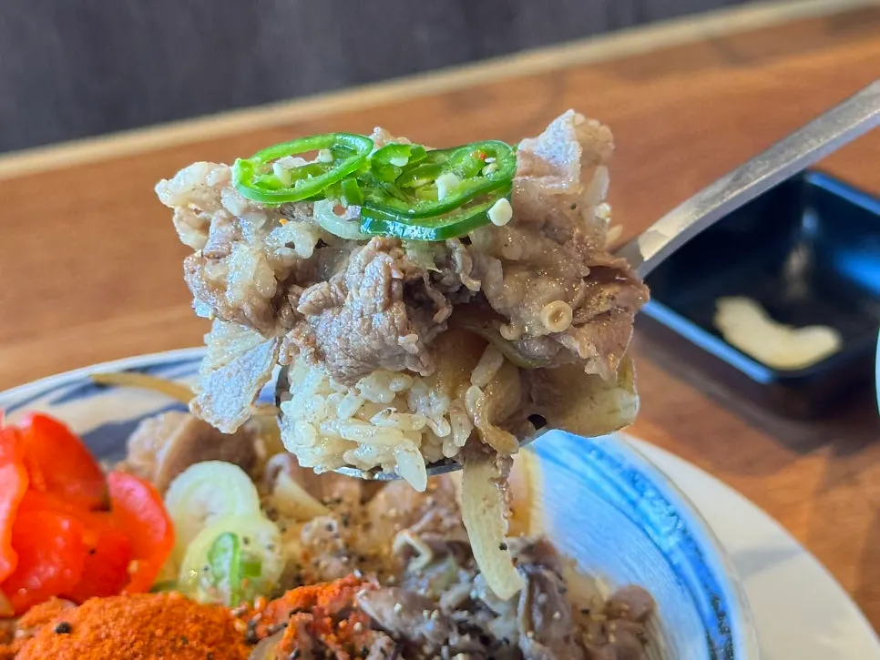 Gyudon with meat and rice mixed together