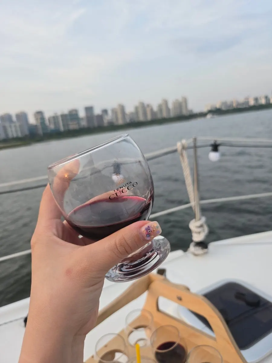 Han River scenery continuously changing during the cruise