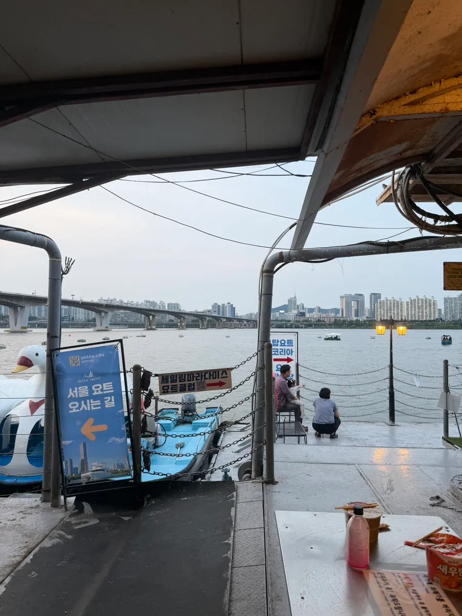 Han River outing area near Yeouinaru Station