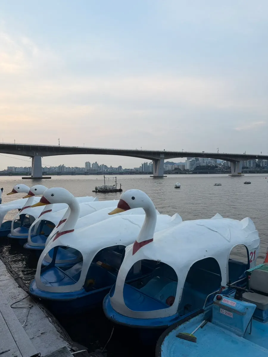 Duck boats and amenities along the Han River