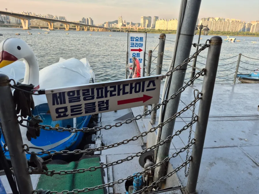 요트 투어 전 선착장 도착 풍경