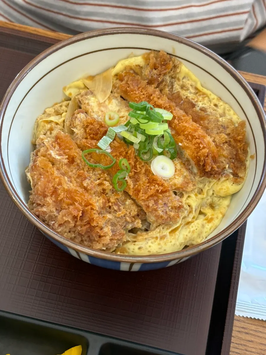 Gently spicy katsudon