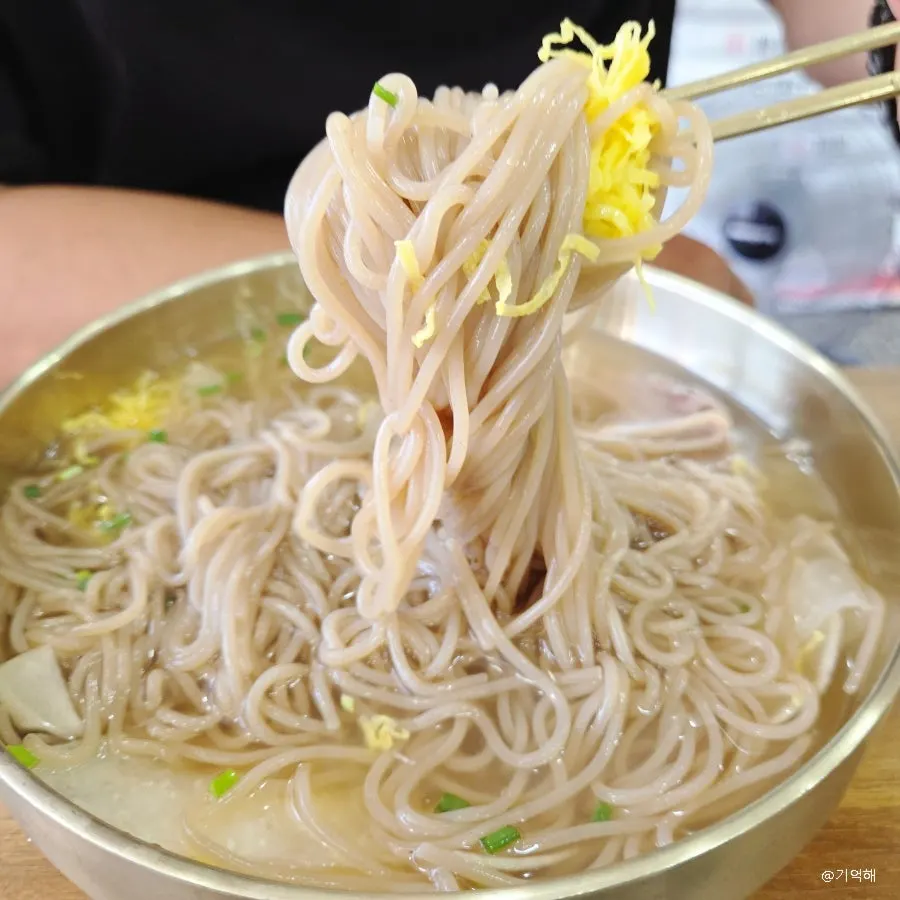 Close-up of pyongyang naengmyeon toppings
