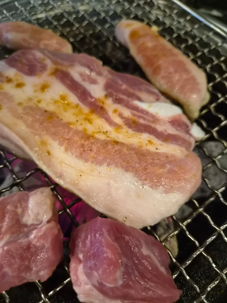 A well-grilled piece of meat