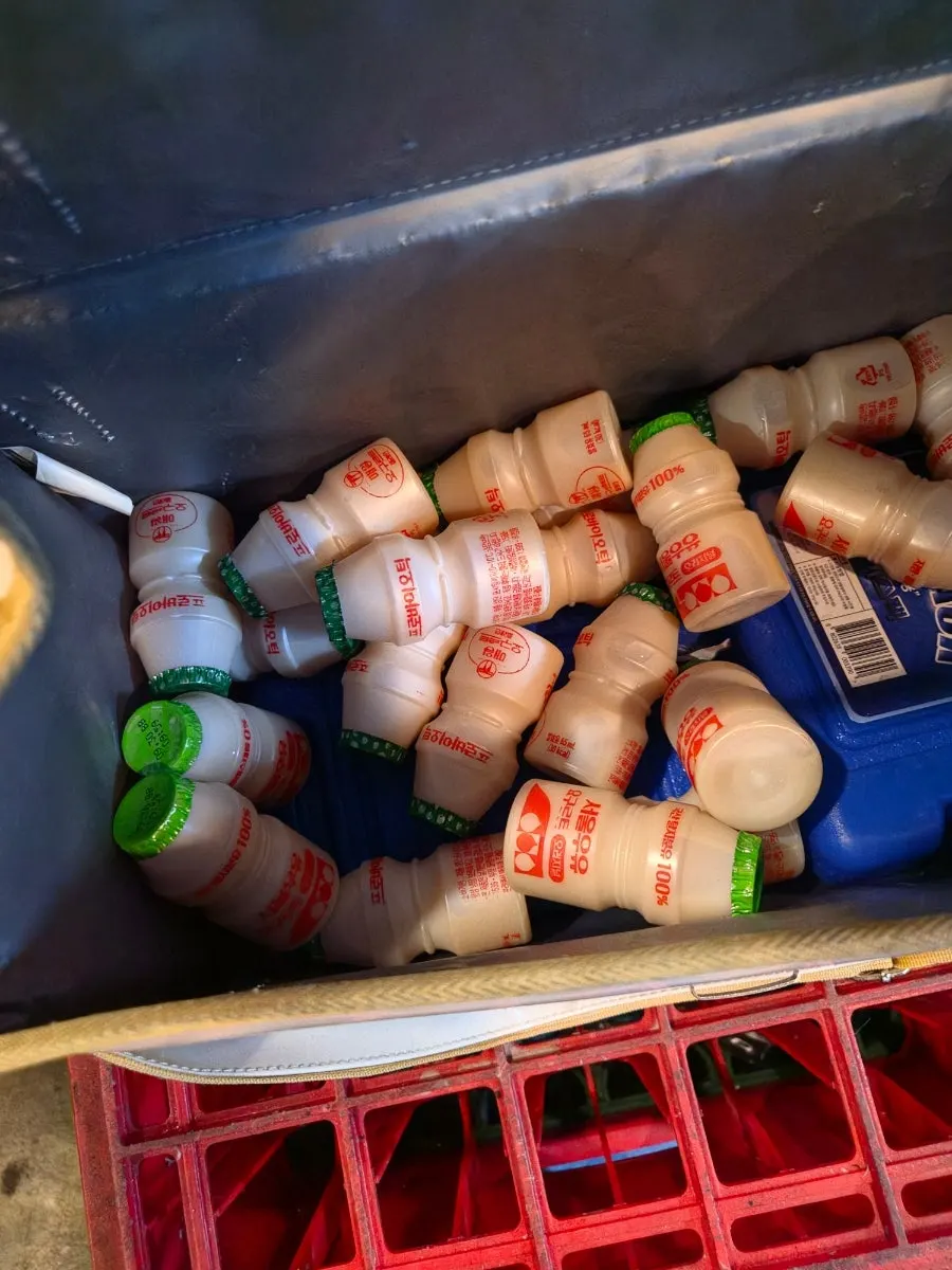 Complimentary yogurt served after the meal