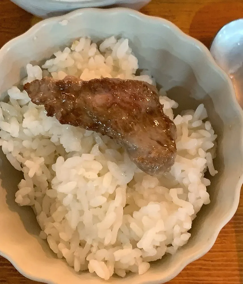 A piece of steki with special sauce