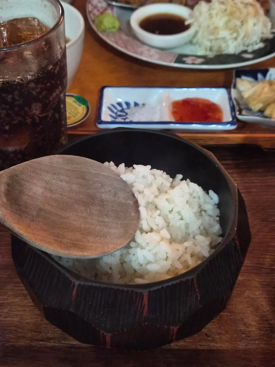 Rice pot for serving as much as desired
