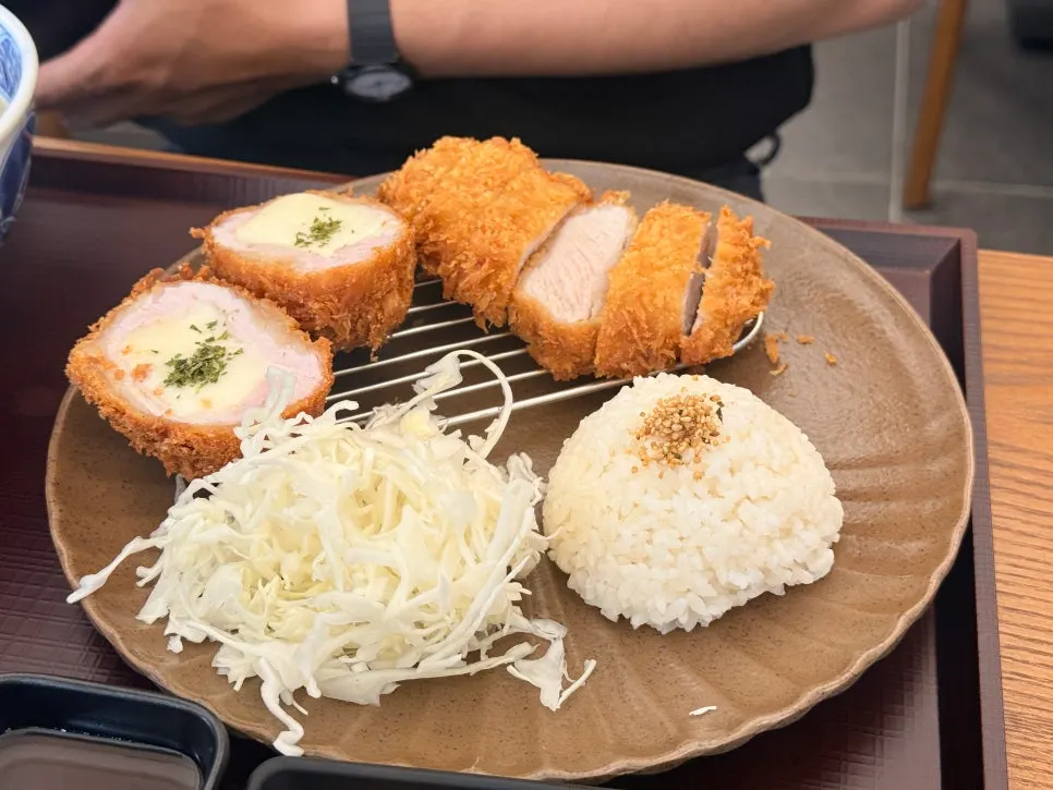 Ordered half-and-half cutlet and udon