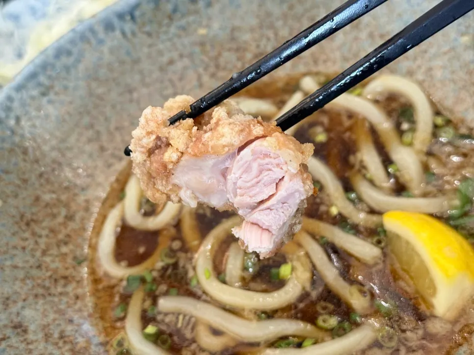 Bukkake udon and karaage