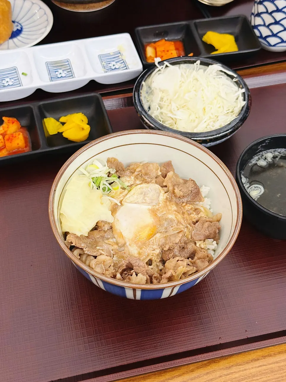 Gyudon with beef and seasoning