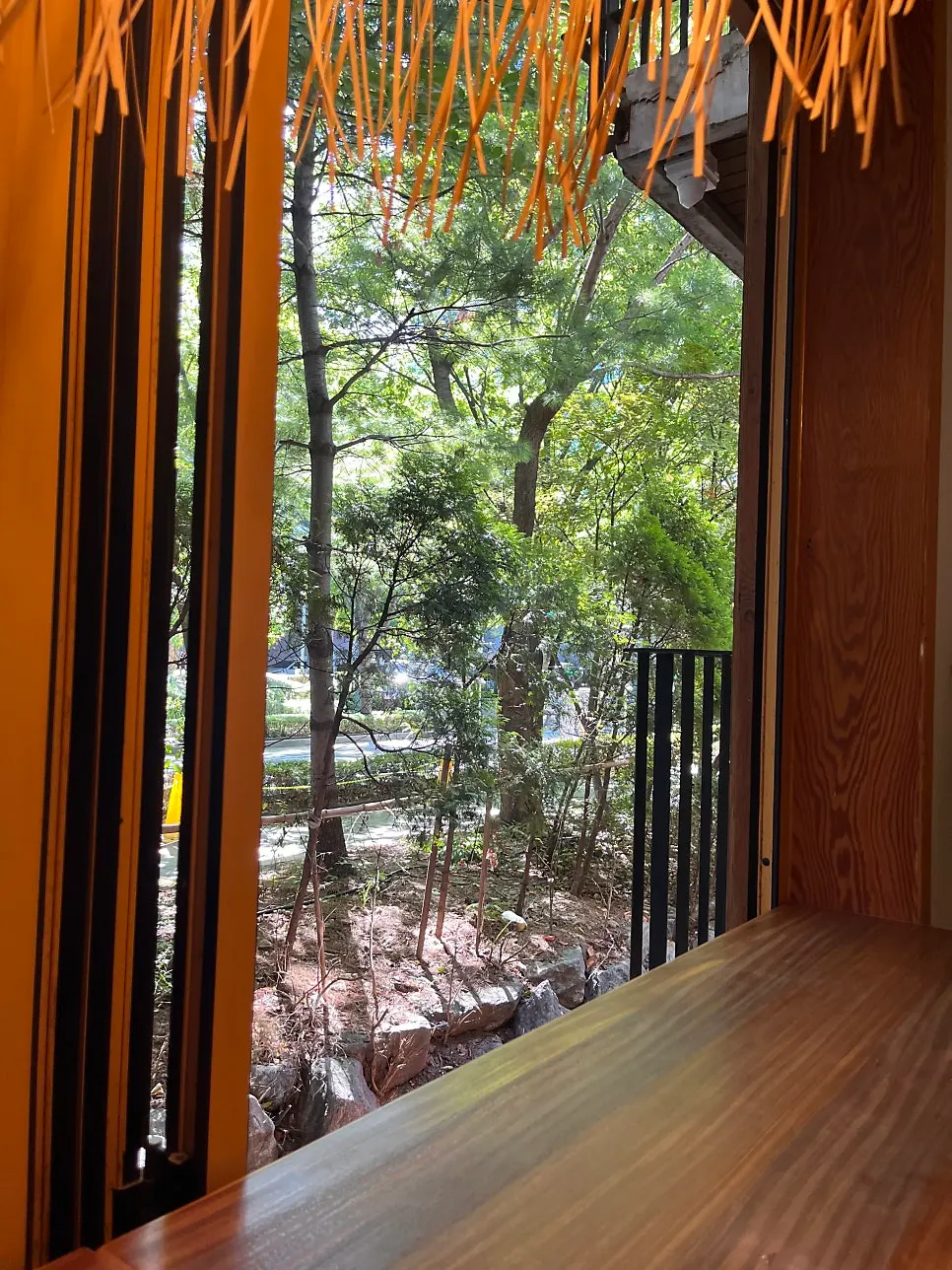 Green view from a window seat