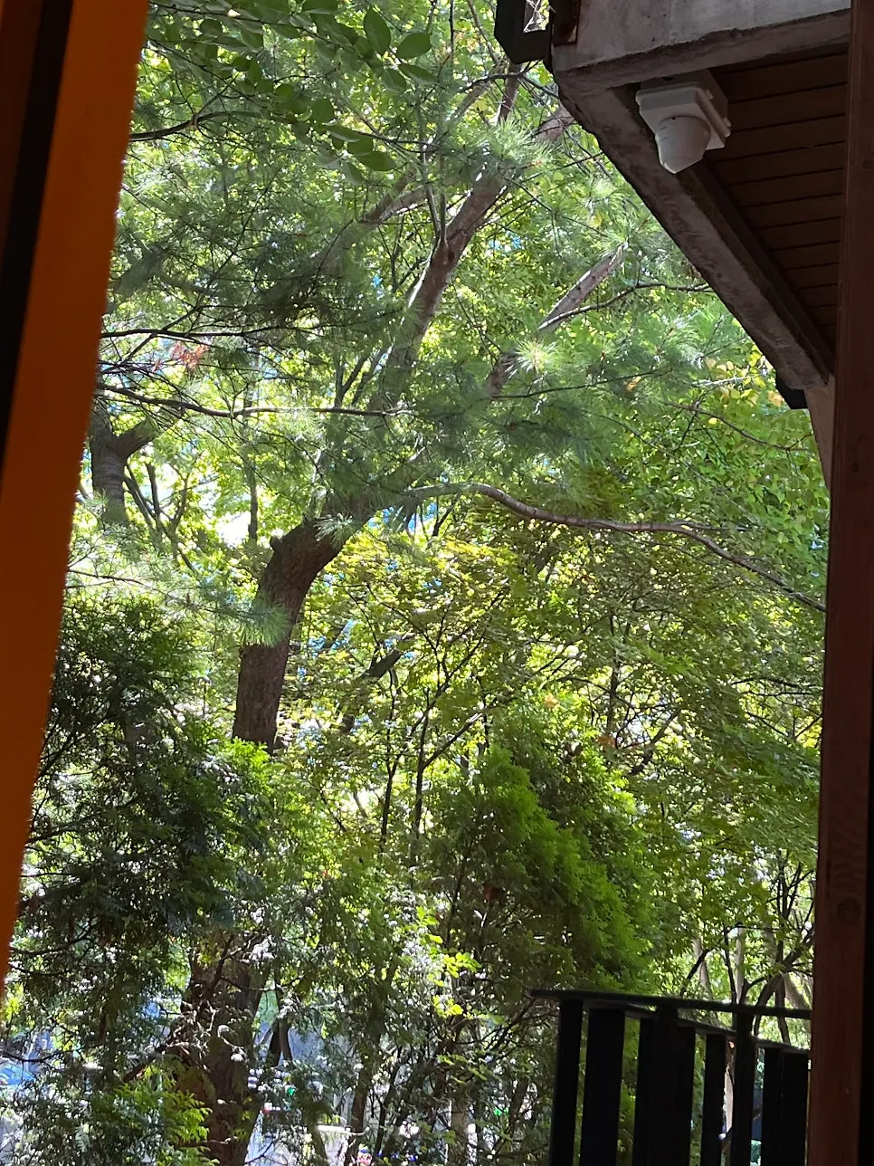Window table on the first floor