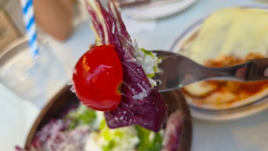 Ricotta salad and Alligot Cheese Lasa