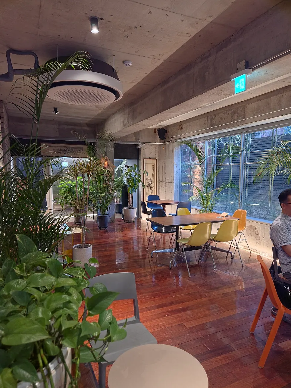 Plant-filled interior of Seowon Angil Hapjeong