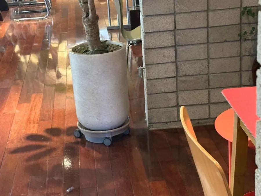 반려견과 함께 앉기 좋은 테이블 자리