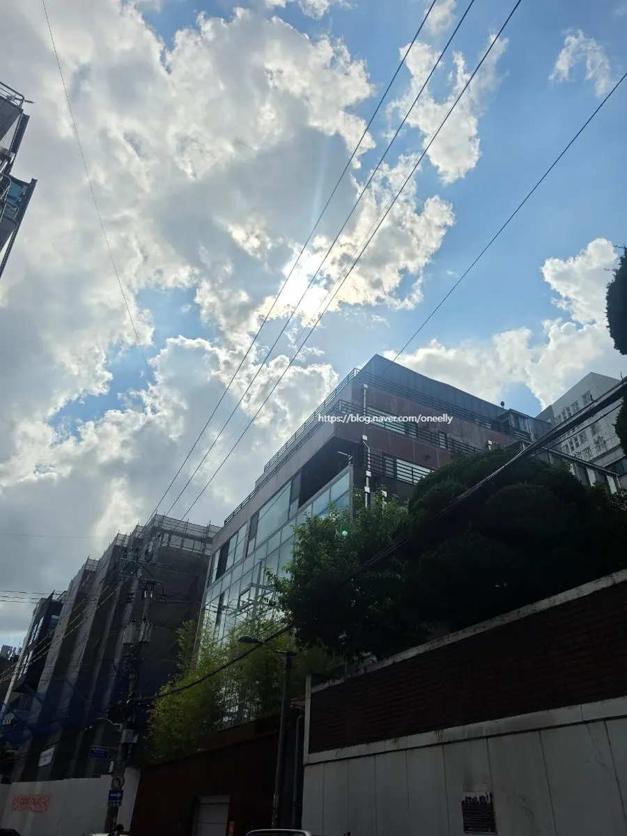 화분이 놓인 카페 내부 좌석