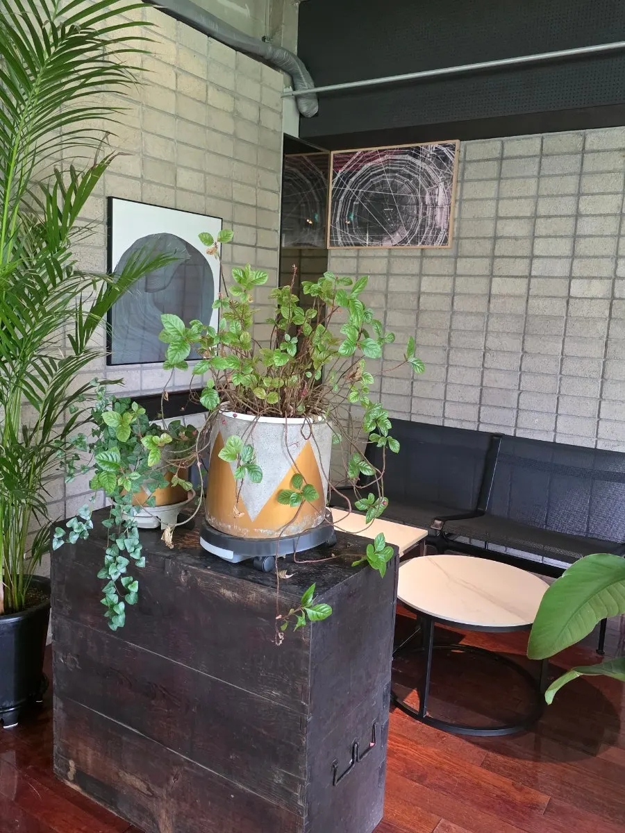 2nd floor seating area with sofas and wooden tables