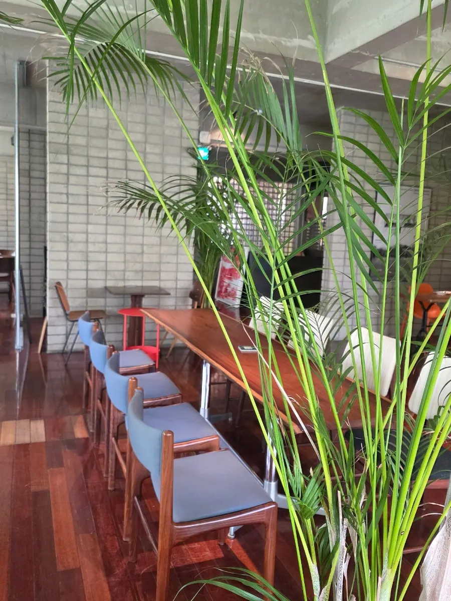 2nd floor interior mixing large plants with antique furniture