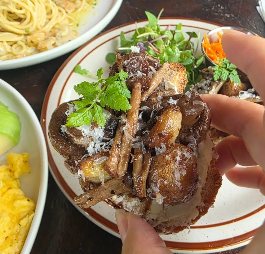Close-up of the open sandwich piled with mushrooms
