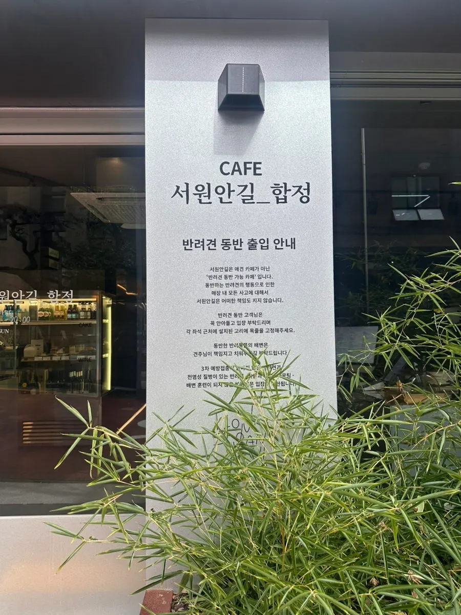 초록 뷰가 영화 같은 서원안길 합정 2층 창가