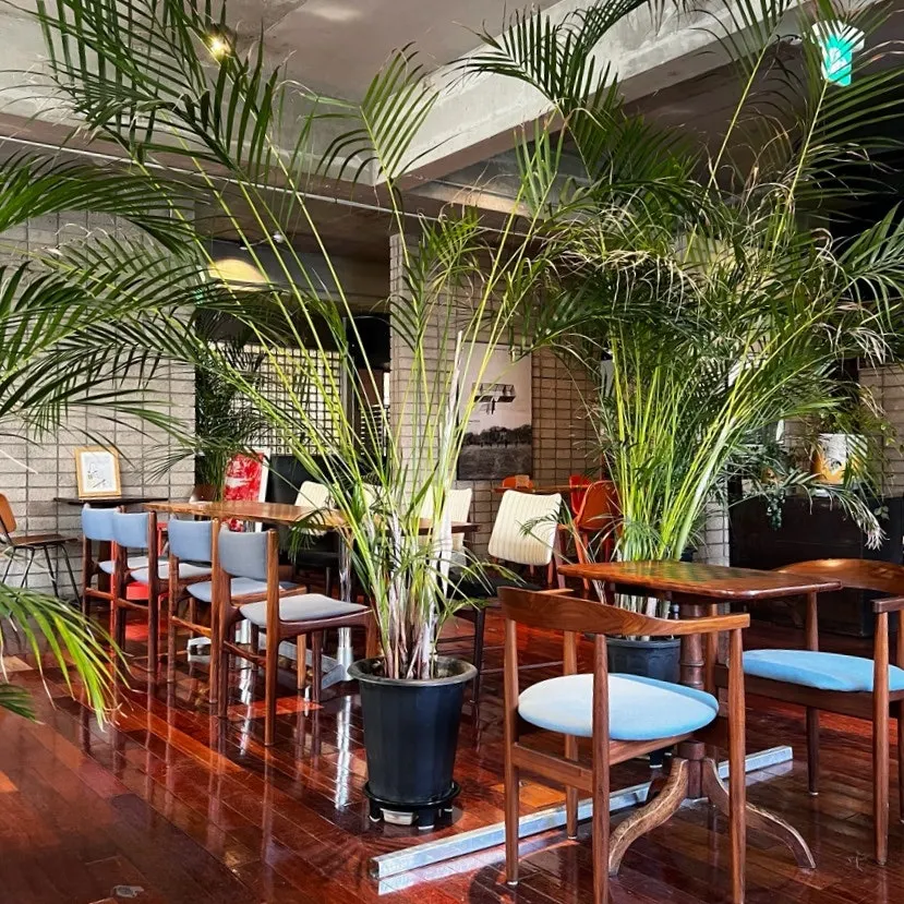 Indoor plant décor at Seowon Angil Hapjeong