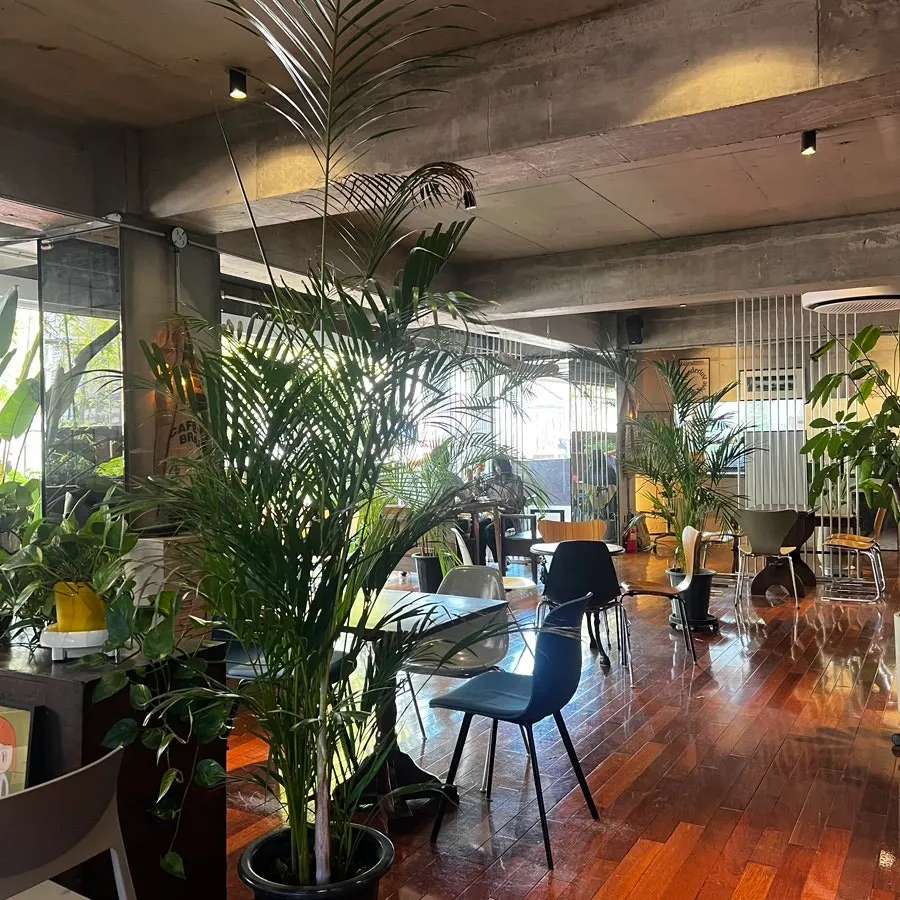 Café seating and lighting at Seowon Angil Hapjeong