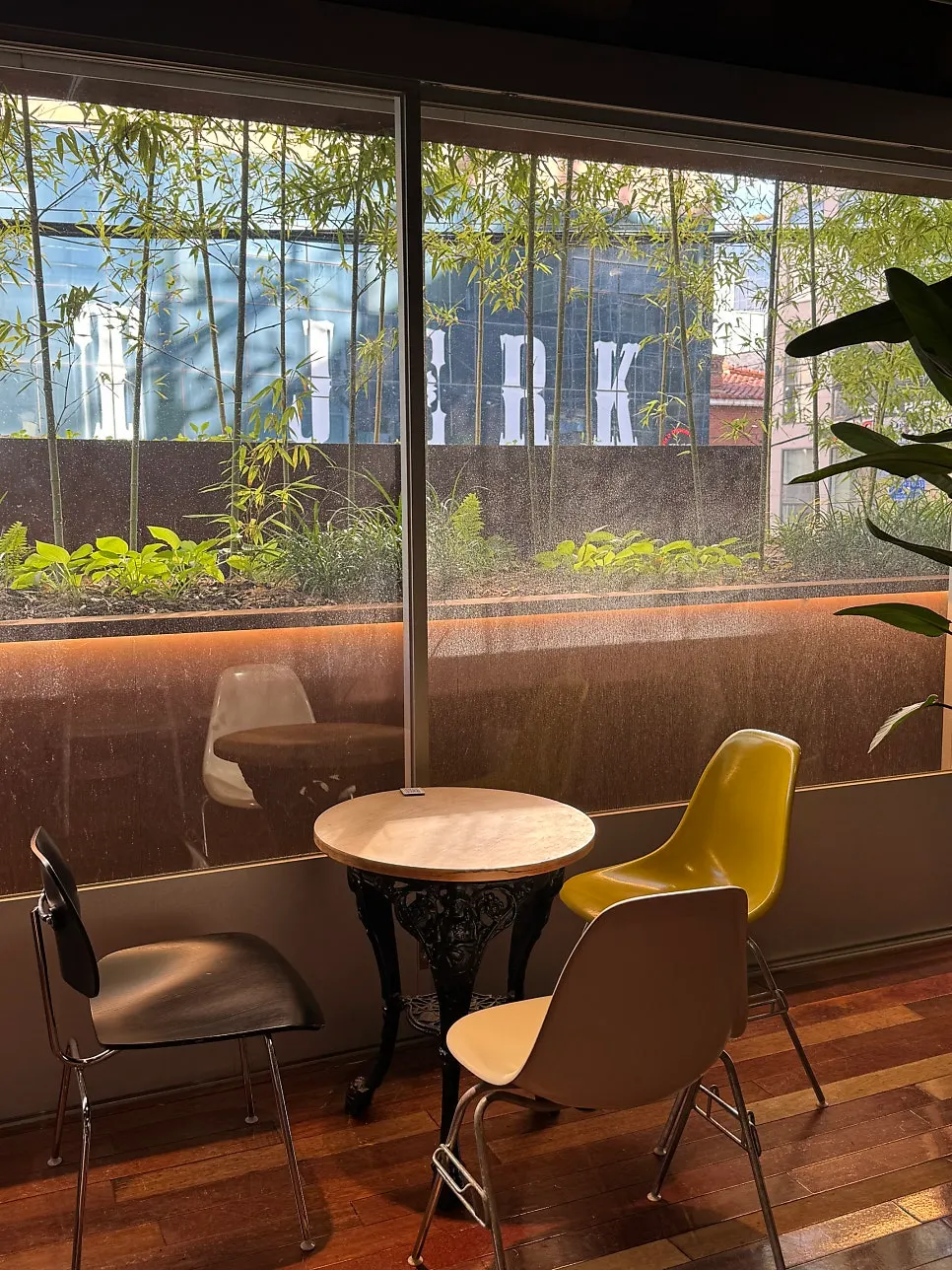 Café space decorated with plants