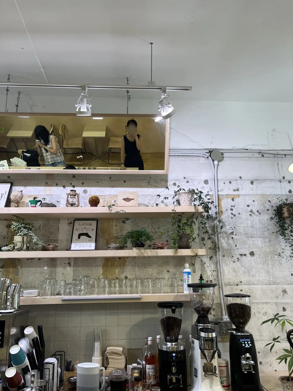 에스프레소 머신과 식물이 놓인 바 공간