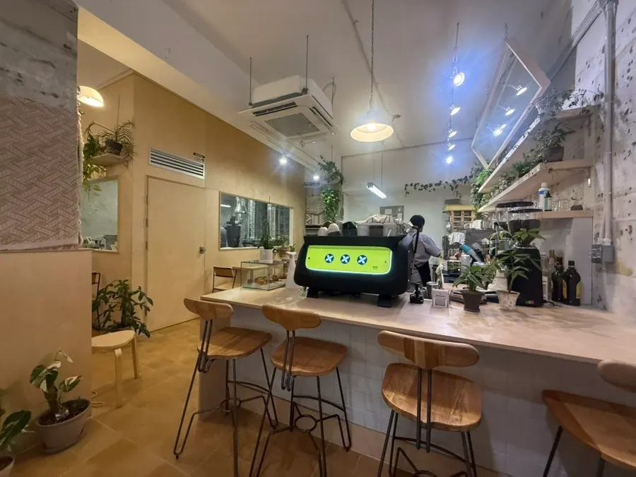 식물이 놓인 세세커피 내부