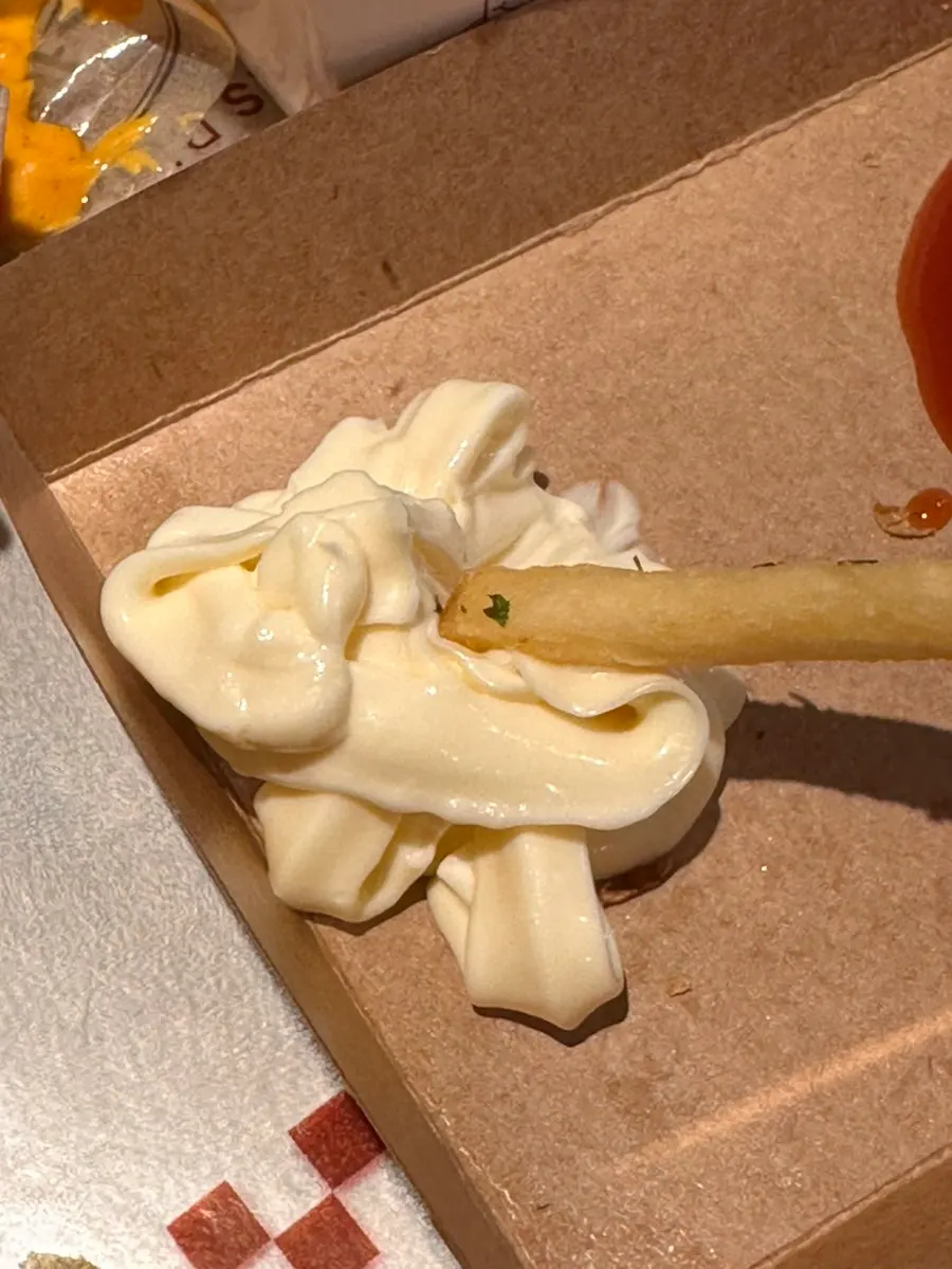 Fries served with a side of mayonnaise