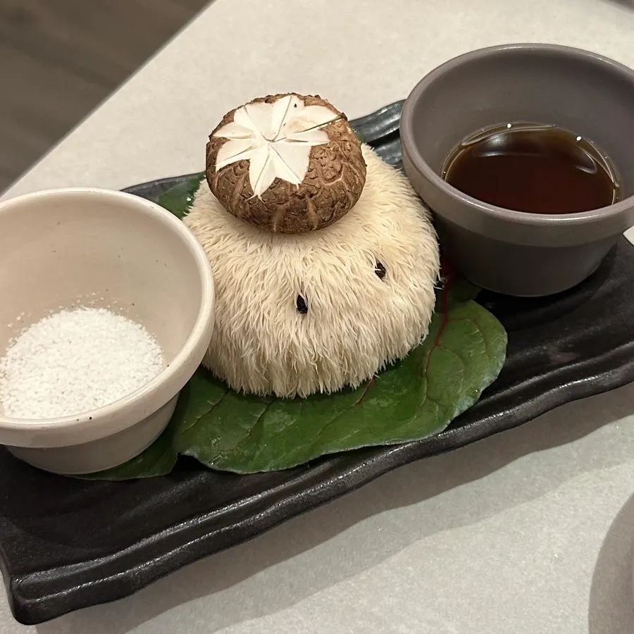 Lion's mane mushroom given as a birthday gift