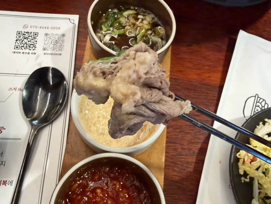 간장소스에 파를 올린 스지 한 점