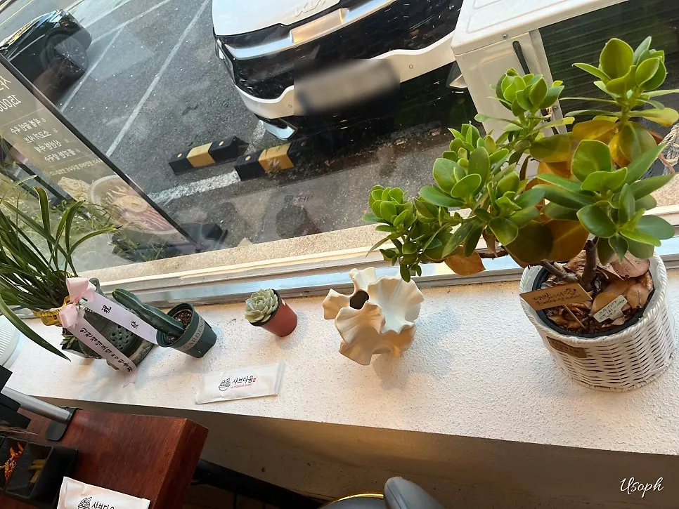 좌석 옆에 놓인 작은 화분