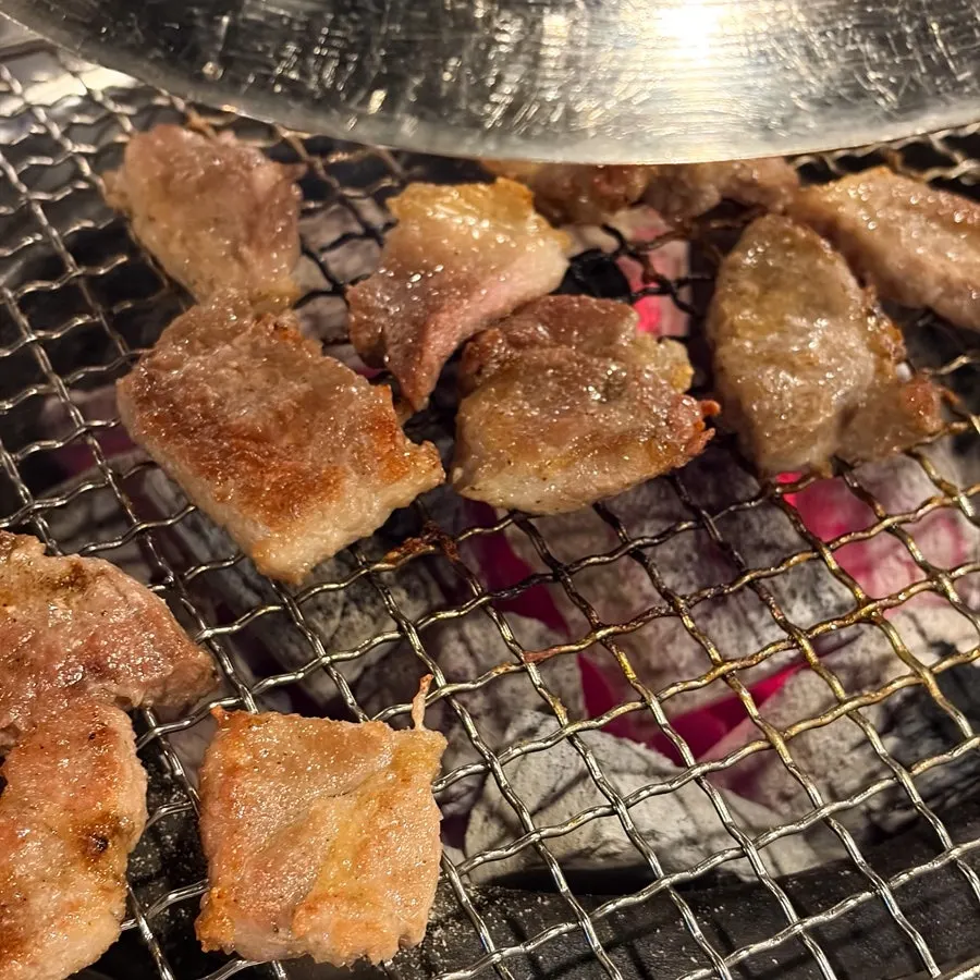 겉면에 마이야르가 오른 숯불 구이 고기
