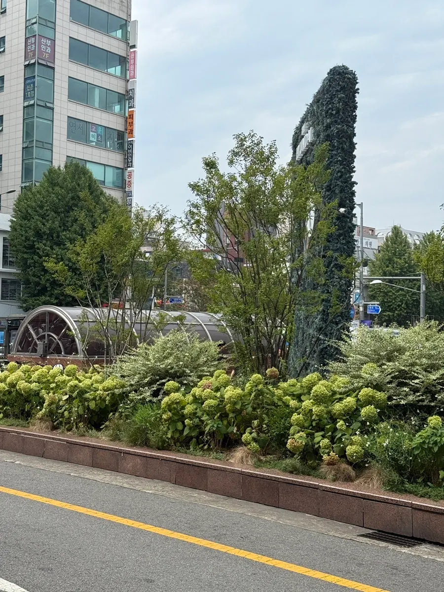신촌역 1번 출구에서 데몬헤어 신촌점 찾아가는 길