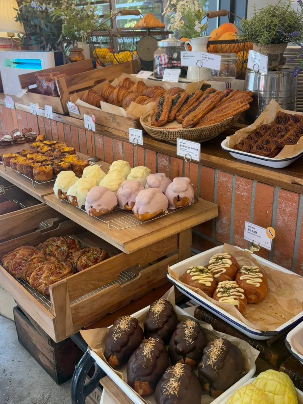 Bakery display case on the 1st floor of Bakerist Brown