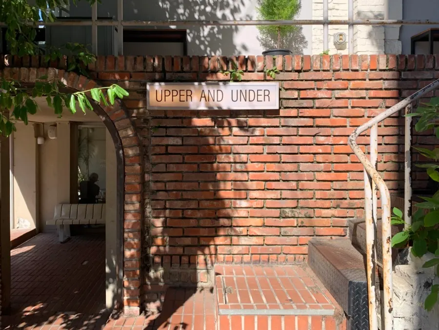 Café entrance where the tree and brick wall meet