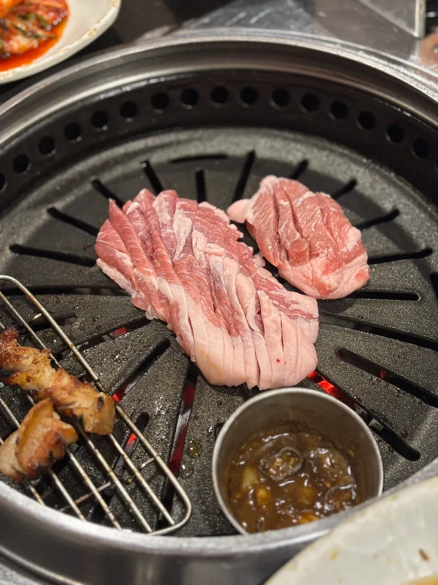 A grilled piece of added gabrisal
