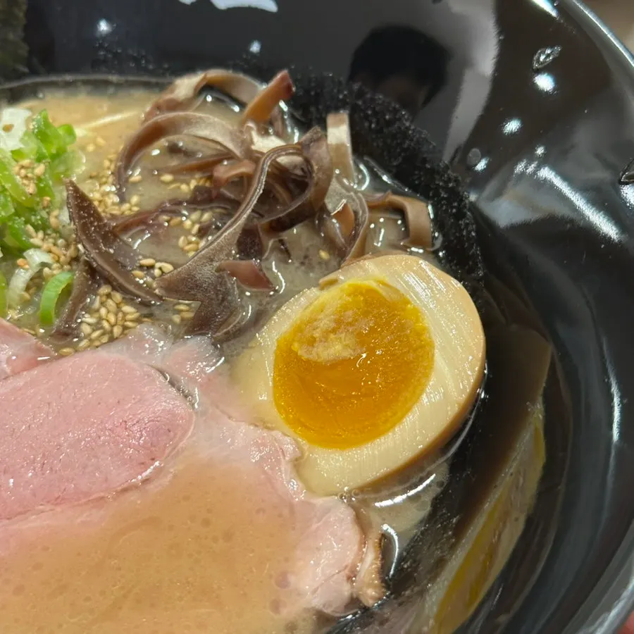 Noodles lifted up out of the rich tonkotsu broth