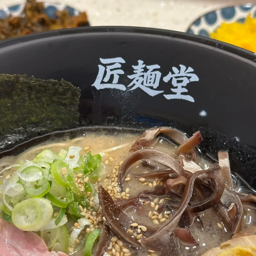 Close-up of the ramen showing bracken fern and other toppings
