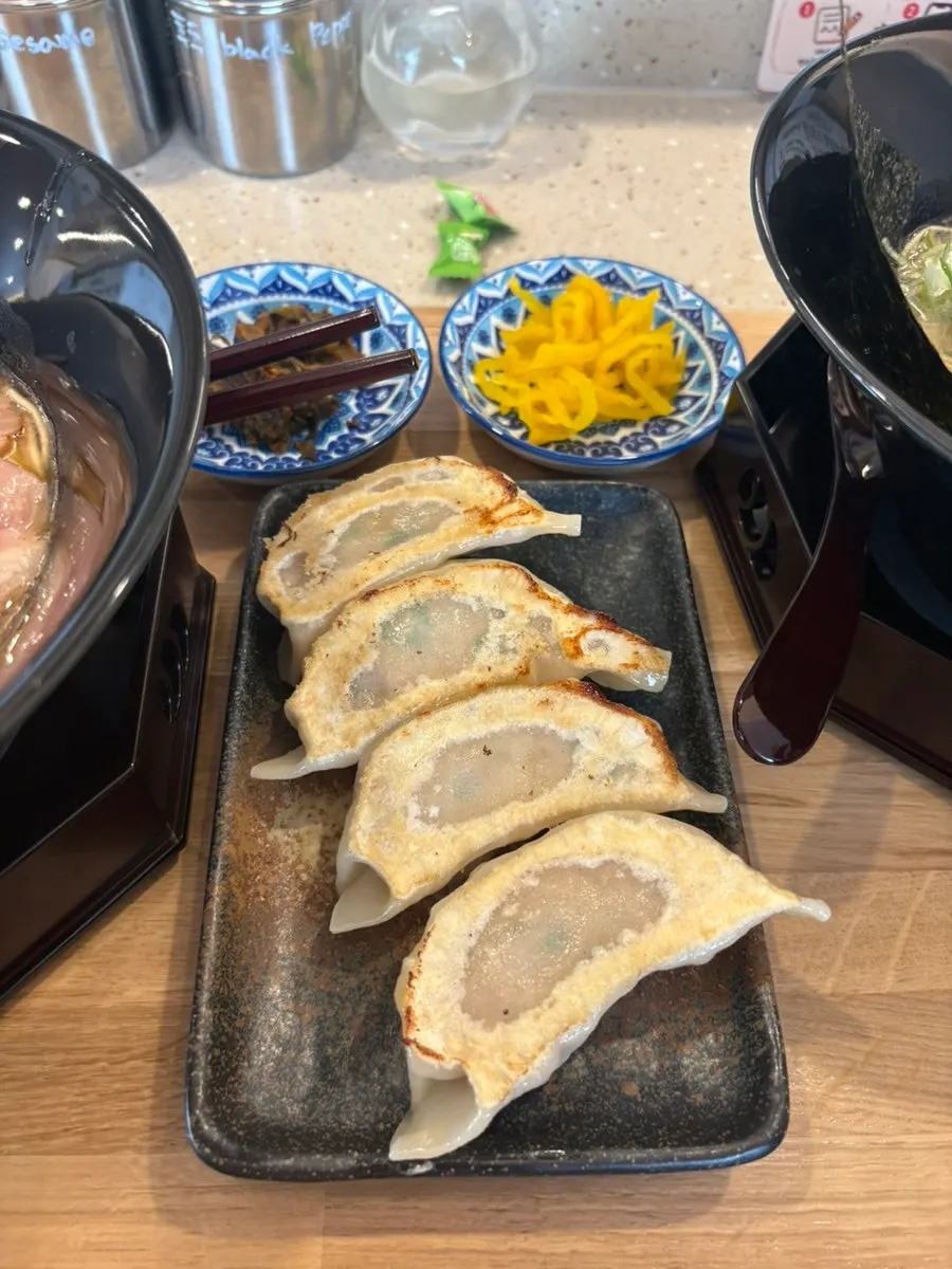 A plate of Shomendo's handmade gyoza