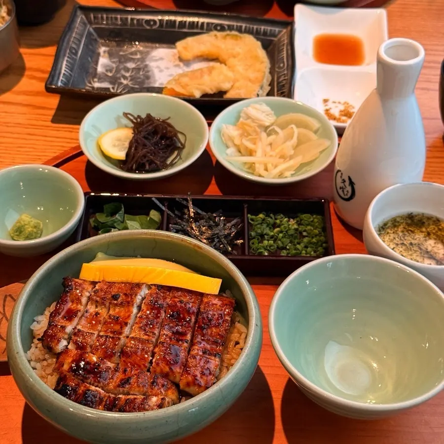 Close-up of eel placed on top of rice