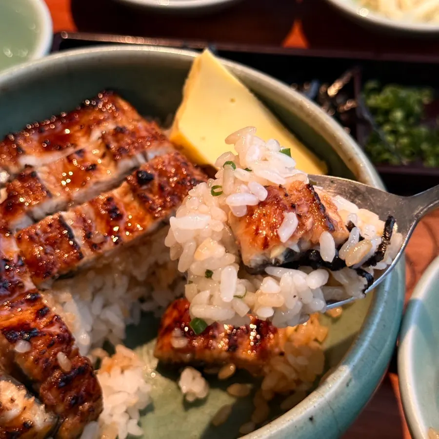 Hitsumabushi eaten ochazuke-style with broth poured over