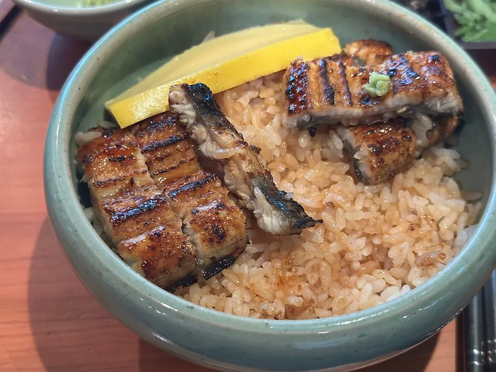 Rice grains of the eel rice bowl with soy sauce drizzled on