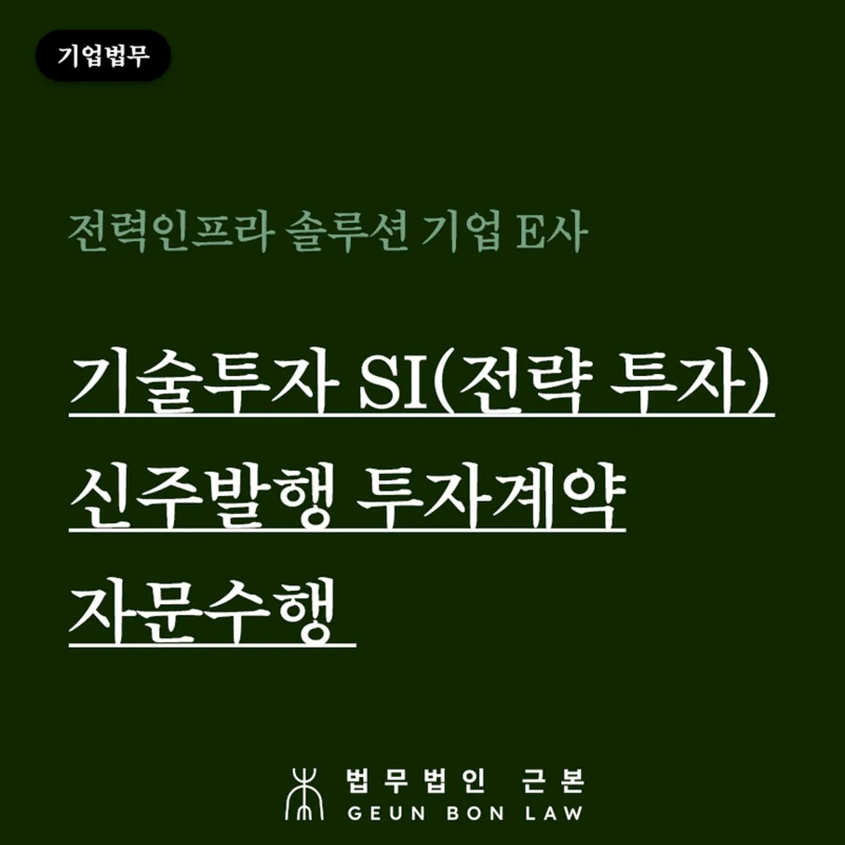 소프트웨어·전력인프라 기업 E사 신주발행 투자계약 자문 대표 이미지