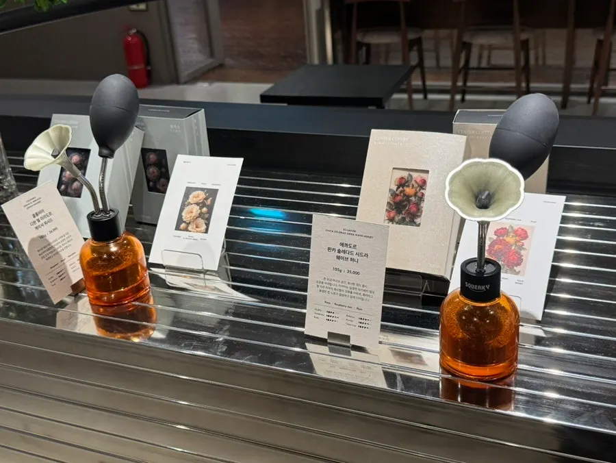 Quá trình chiết xuất drip coffee