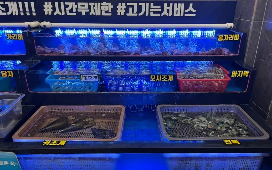 Restaurant tank filled with live shellfish
