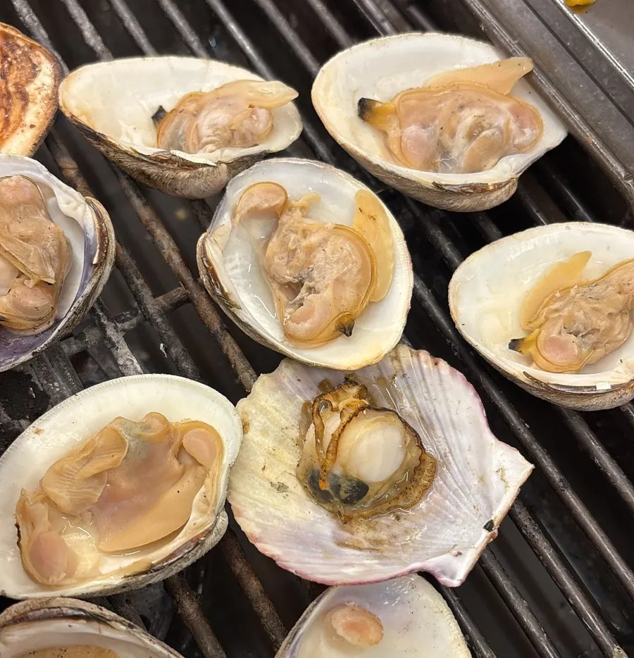 Well-cooked shellfish meat dipped in chojang sauce